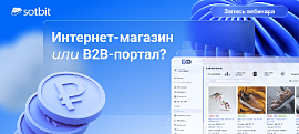 Запись вебинара: Интернет-магазин vs B2B-портал — что выбрать для B2B-продаж?