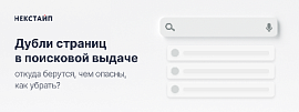 Дубли страниц в поисковой выдаче: откуда берутся, чем опасны, как убрать?