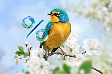 Весенняя акция в Аспро: скидки до 20% на запуск сайта